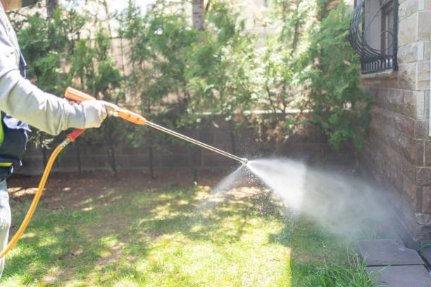 Best Insect Control  in Bayou Cane, LA
