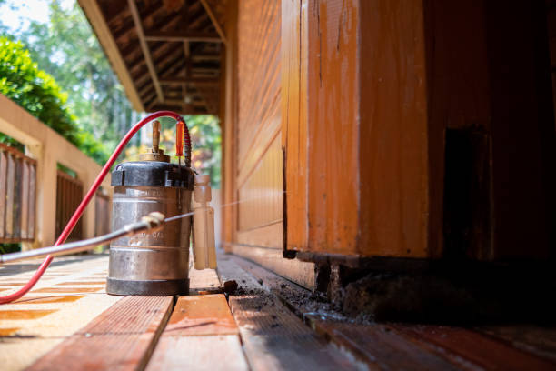 Best Best Pest Control Companies  in Bayou Cane, LA