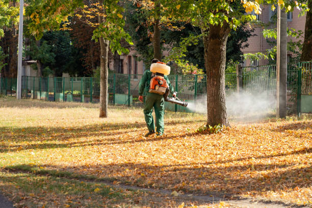 Best Mosquito Control Services  in Bayou Cane, LA