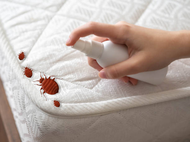 Best Commercial Pest Control Services  in Bayou Cane, LA