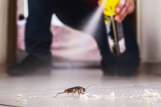 Best Cockroach Control Services  in Bayou Cane, LA