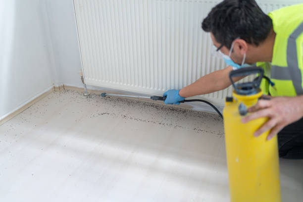 Best Residential Pest Control  in Bayou Cane, LA