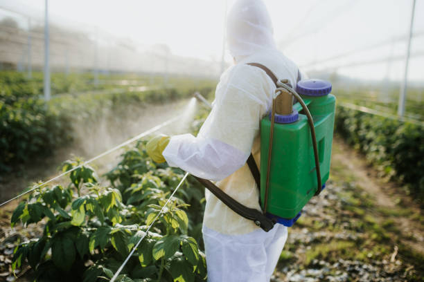 Best Best Pest Control Companies  in Bayou Cane, LA